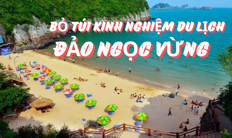 TÀU CAO TỐC HIỆN ĐẠI ĐƯA DU KHÁCH ĐẾN ĐẢO NGỌC VỪNG HÀNG NGÀY
