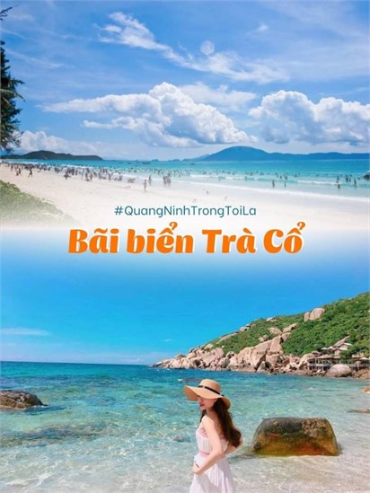 du-lich-tra-co-01(1)