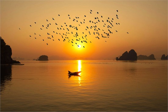 du-thuyen-ha-long-2-ngay-1-dem-04