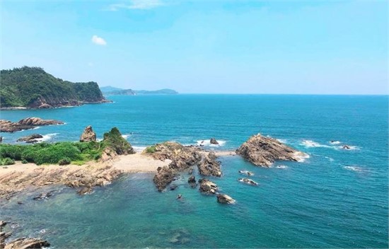 ngon-hai-dang-co-to-05