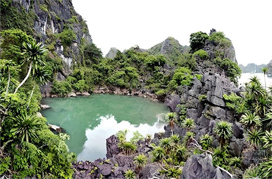 quang-ninh-co-san-bay-khong-07